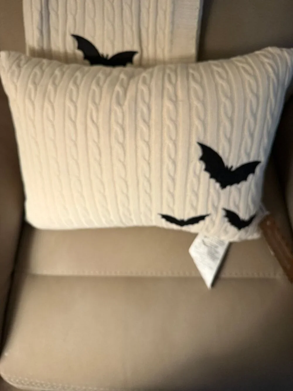 Cupcakes & Cashmere Halloween 2026 Bats Blanket & Pillow Viral TikTok U CHOOSE